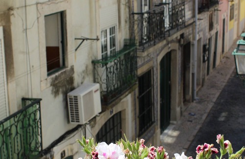 Sao Jose Apartment | Cardal da Fé House - Very central