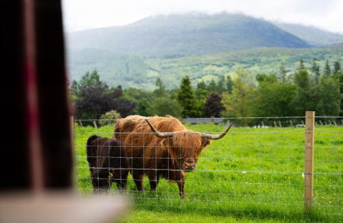 Fort William House | Carn Mor Dearg Pod