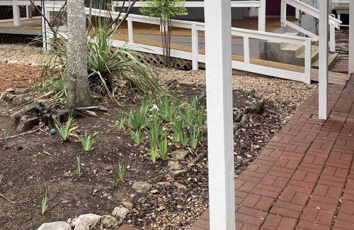 Kerrville Cottage | Carol's Casa in the quaint Methodist Encampment neighborhood