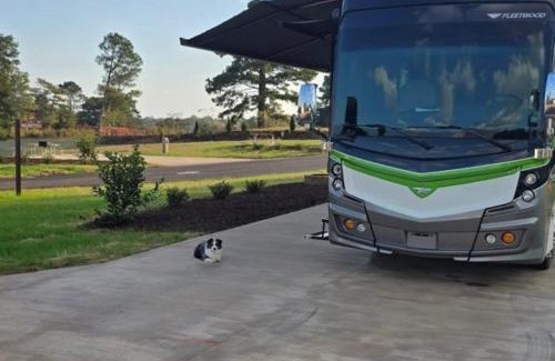 Pickens Other | Carolina Camp Cedar