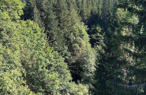 Gerardmer Ski Chalet | Caroline's cottages "The little Paris 1, chemin du petit Paris