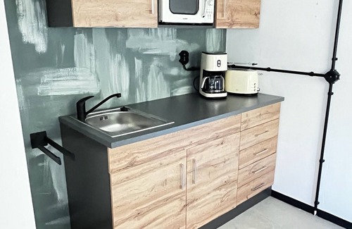 Laussnitz Apartment | Carotel Industrial Style meets Waldesruhe with a dog