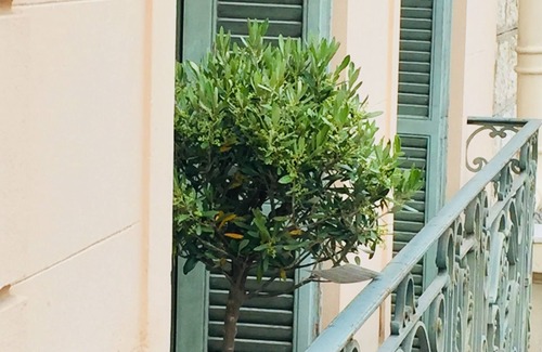 Nice City Centre Apartment | Carré d'or Le Giuliano Mer Negresco Registration number 0688 003559 UF