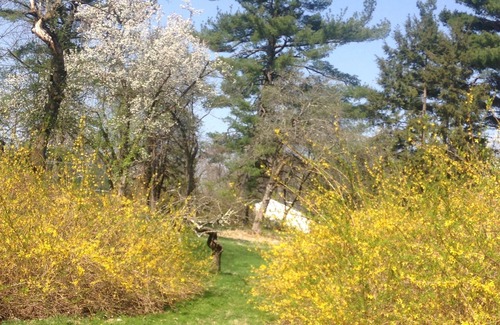 New Hope House | Carriage House at Harmony Hill Farm in New Hope! Idyllic Retreat Close to Town.