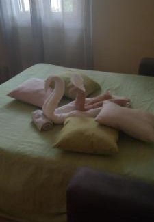 Gallignano Apartment | Casa Adelaide vicino al mare,uscita Ancona Sud