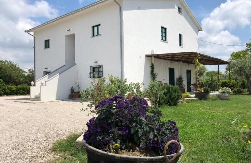 Serre House | Casa Agricola Scorziello