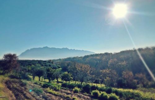 Serre House | Casa Agricola Scorziello