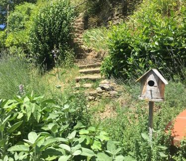 Capolona Apartment | Casa al Riccio