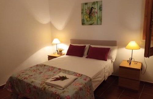 Benarraba House | Casa Alameda