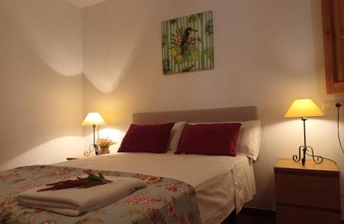 Benarraba House | Casa Alameda