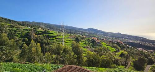 Estreito da Calheta Apartment | Casa Anjinho