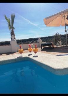 Loja House | Casa Araflo