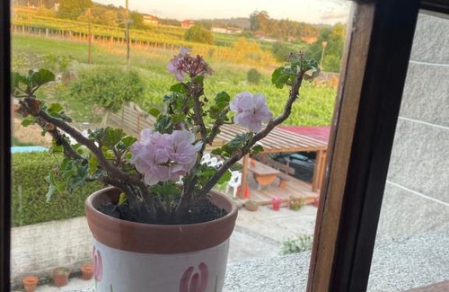 Meano House | Casa Arxon