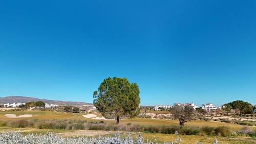 Jeronimo y Avileses y Balsicas de Arriba Apartment | Casa Atlantico SVE-Murcia Holiday Rentals Property