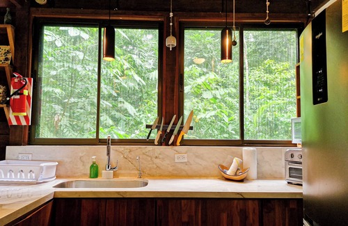Manzanillo House | Casa Auratus Jungle Experience