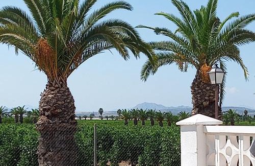 Los Balcones House | Casa Azahar, with beautiful view on the orange groove and pink Salt Lake