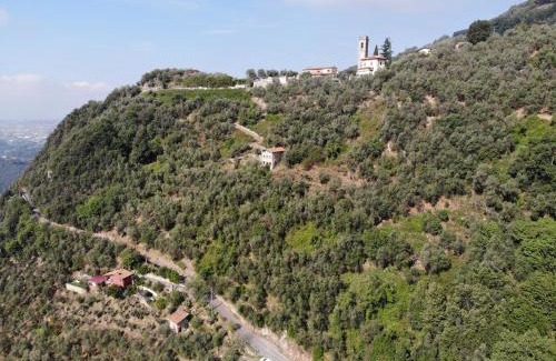 Greppolungo House | Casa Berti - Urlaub im Olivenhain