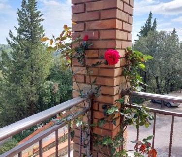 Castellina in Chianti Apartment | Casa Bruna - Cipresseta del Chianti