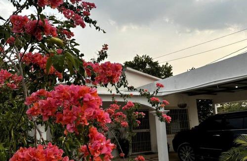 Flores House | Casa Buganvilea
