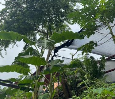 Galapa House | Casa Campestre DONDE MAMI ENA