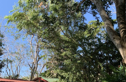 Santa Veronica House | Casa Campomar