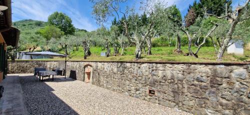 Pescia Apartment | Casa Cipressino