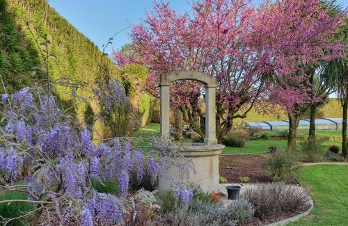 Frades House | Casa da Agra