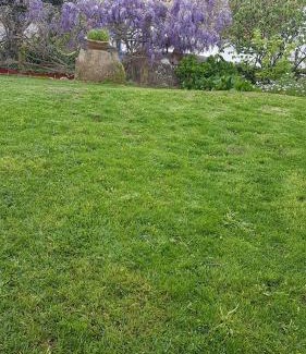 Outeiro da Corticada House | Casa da Palmeira