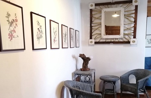 Bibbona House | Casa Dante Podere Novo Bibbona