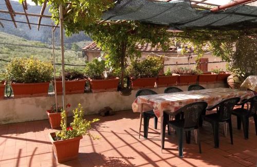 Montemagno House | Casa David