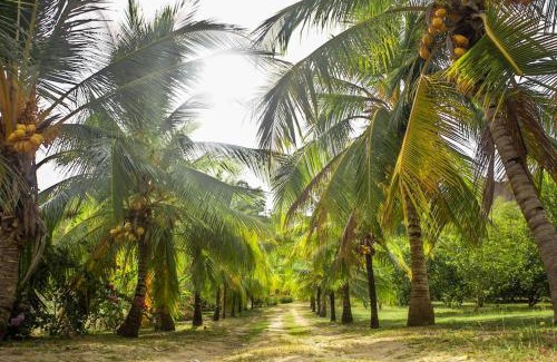 Cienaga de Oro Apartment | Casa de campo en Cienaga de Oro