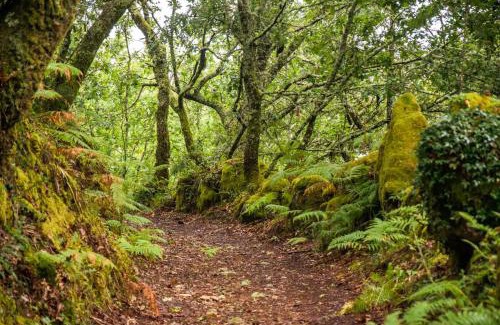 Guilhofrei House | Casa de Fora
