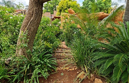 Zwartkop House | Casa De Jardim Guesthouse