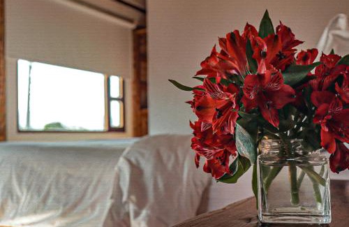 Villa de Leyva House | Casa de las Palmas