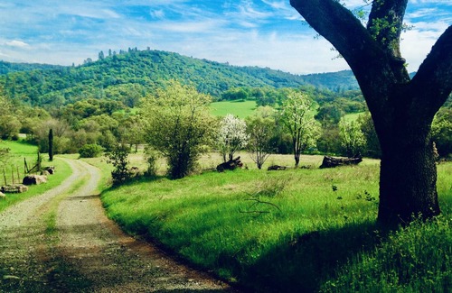 Smartville Other | Casa de Luna ~ a 5 Star, private farm retreat with hot tub and large yoga room!