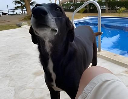 Tolu House | Casa de playa Manglares