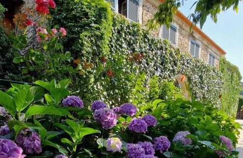 Armamar House | Casa de Sao Miguel Douro