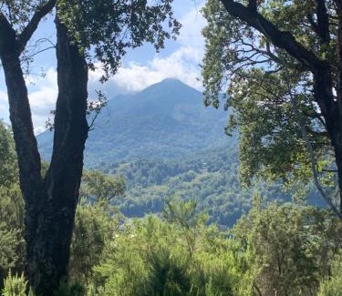 Santa-Lucia-di-Moriani House | Casa di Marina