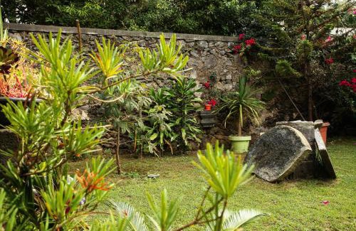 Ribeira Grande House | Casa do Pico Arde