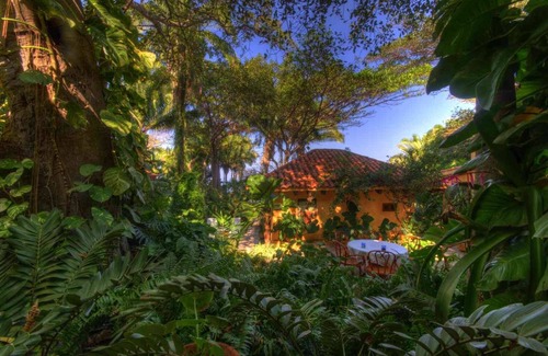 Platanitos Villa | Casa Don Juan