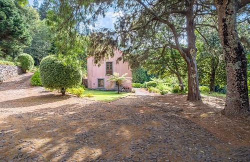 Camacha Cottage | CASA DOS CASTANHEIROS - Charming countryside Cottage