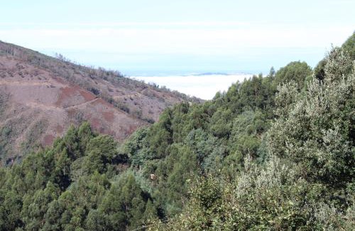 Lousa House | Casa dos Desenhos