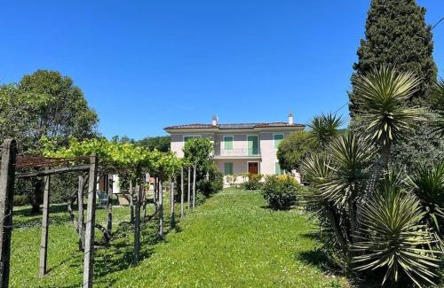 Lucca House | Casa Eda