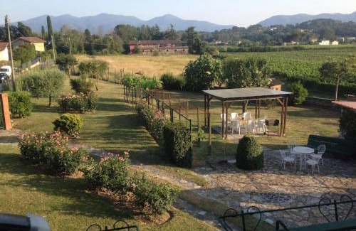 Lucca House | Casa Eda