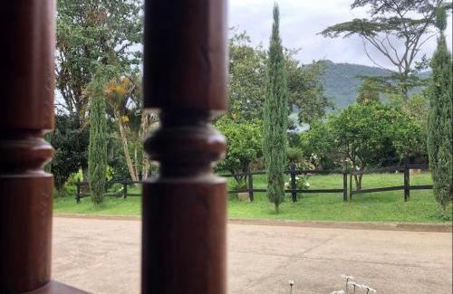 Jardin House | Casa El Pinar