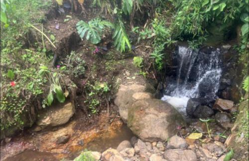 Jardin House | Casa El Pinar