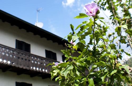 Ledro Apartment | Casa Elisabetta