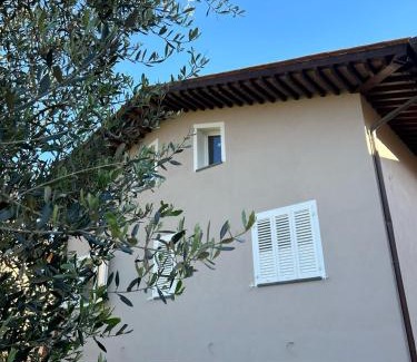 Cascine-La Croce House | Casa Elogi