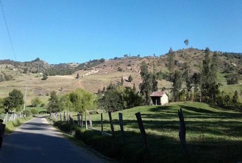 Pesca House | Casa En El Árbol Con Sauna somos PETFRIENDLY