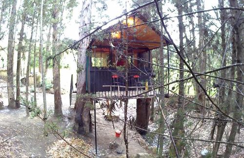 Pesca House | Casa En El Árbol Con Sauna somos PETFRIENDLY